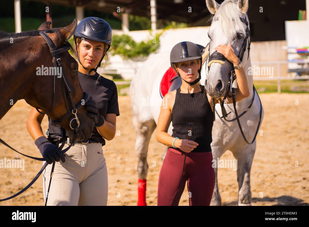 Two young Caucasian girl riders with their white and brown horses on a ...