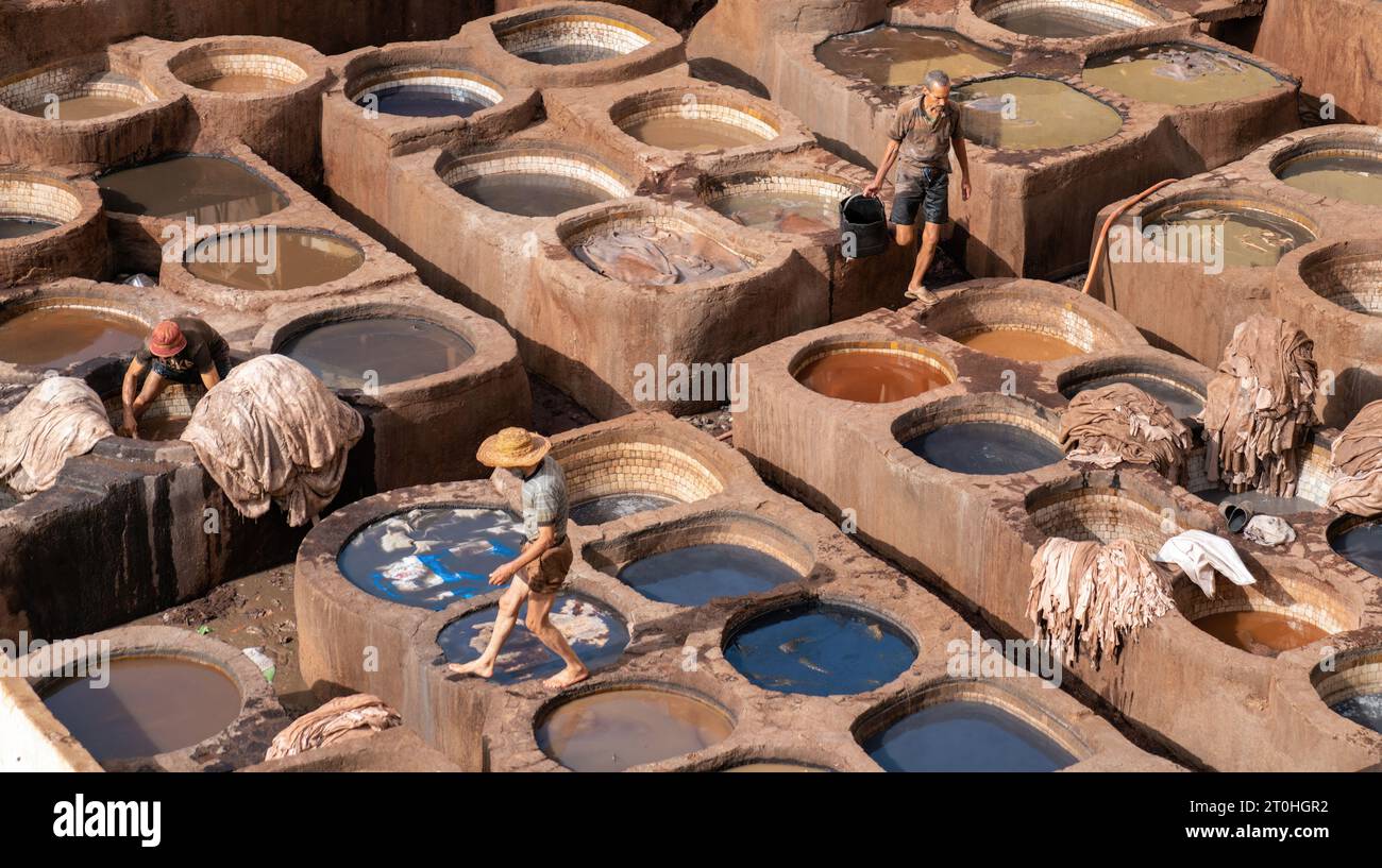 Fez, Morocco 10 September 2022 Leather dying in a traditional