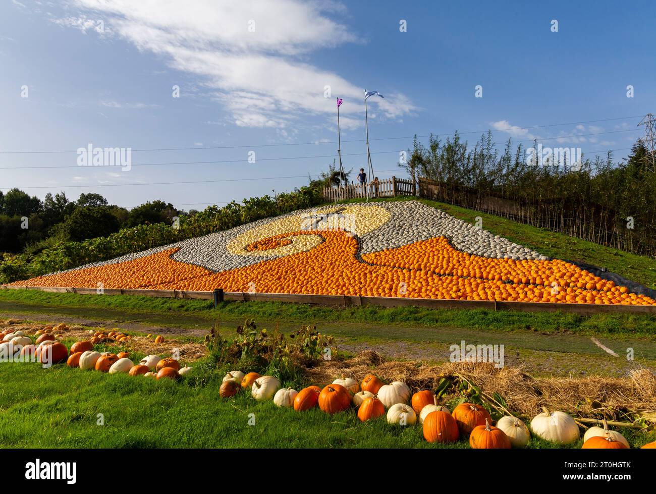 The nightmare before christmas hires stock photography and images Alamy