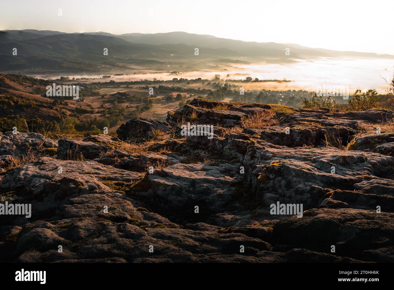 Highlights On Rocks Vibrant green on rocks hi-res stock photography and images - Alamy