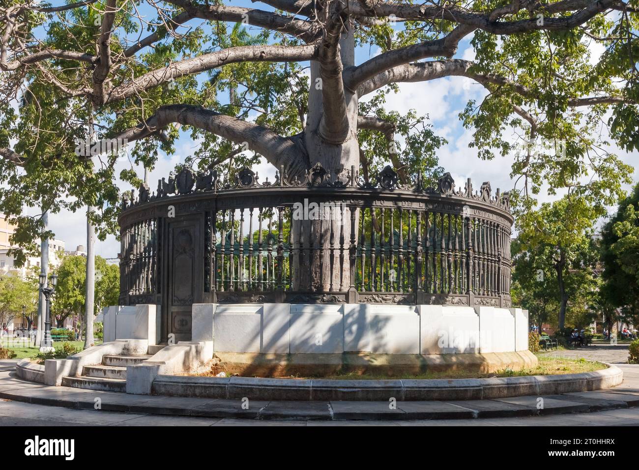 Ceiba tree surrounded by a fence in the Central Park or Parque Central. The tree is a symbol in the Cuban culture dating back to the independence wars Stock Photo