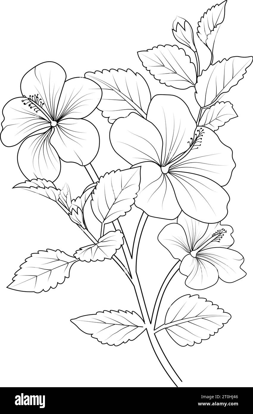 Hibiscus flowers illustration coloring page, simplicity, Embellishment ...