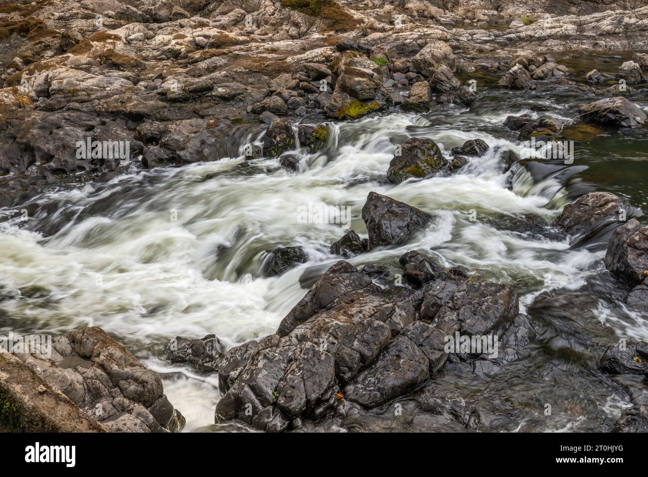 Nehalem Falls, volcanic basalt rocks at Nehalem River, near Nehalem Falls Campground, Tillamook State Forest, Oregon, USA Stock Photo