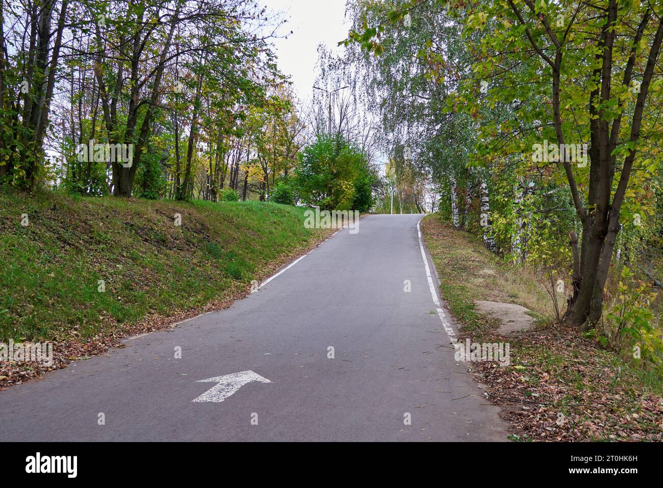 Bicycle path in empty autumn city park Stock Photo
