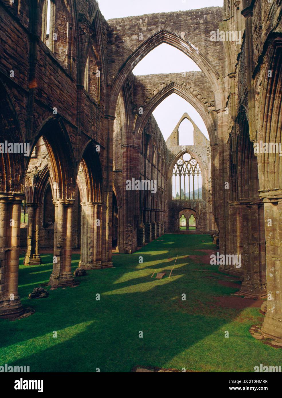 The interior of Tintern Abbey Cistercian monastic church, Wales, UK, looking from the chancel to the W end with the S aisles & transept on the left. Stock Photo