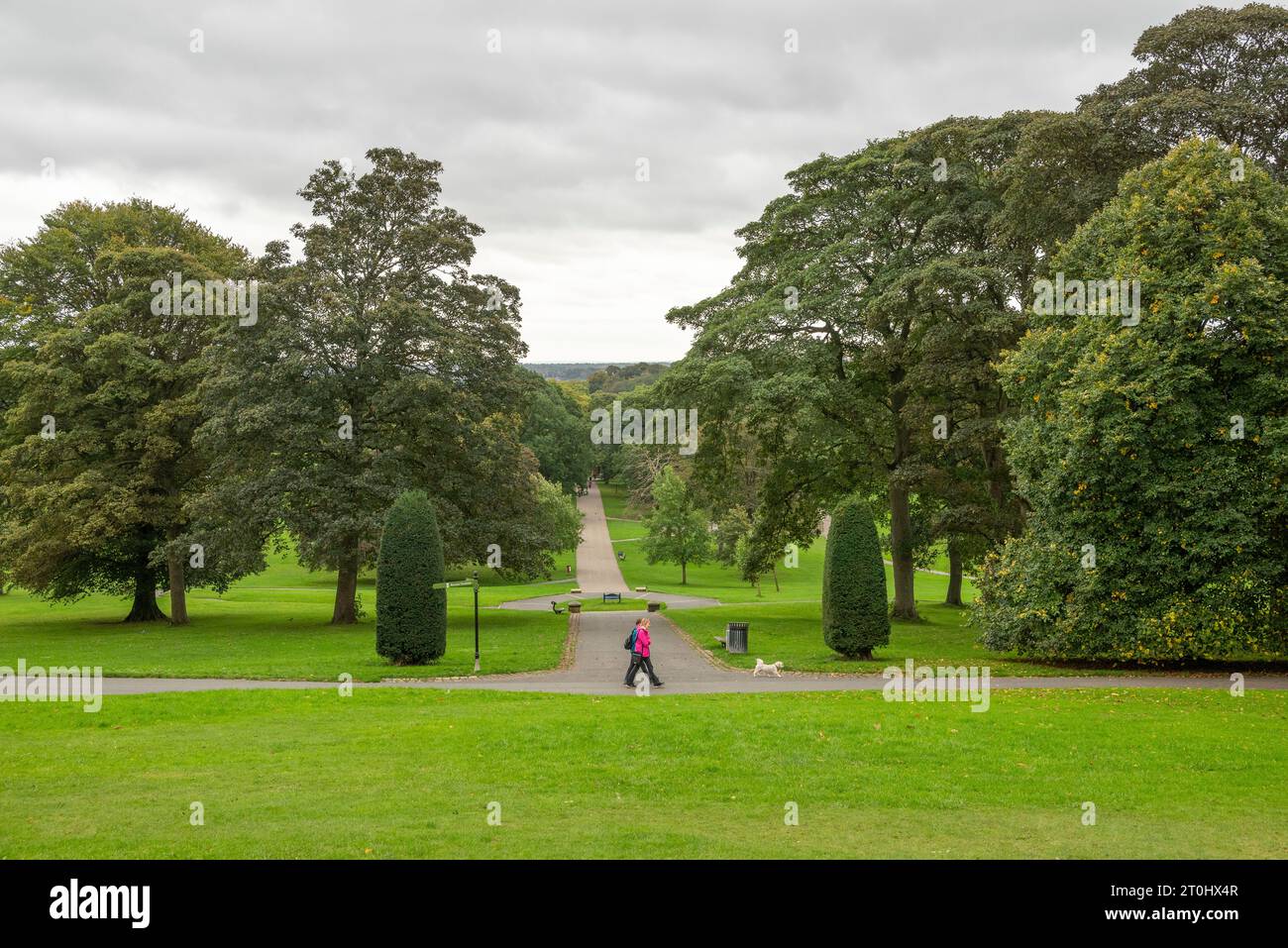 People walking a dog in Roundhay Park, Leeds, West Yorkshire, UK in October Stock Photo