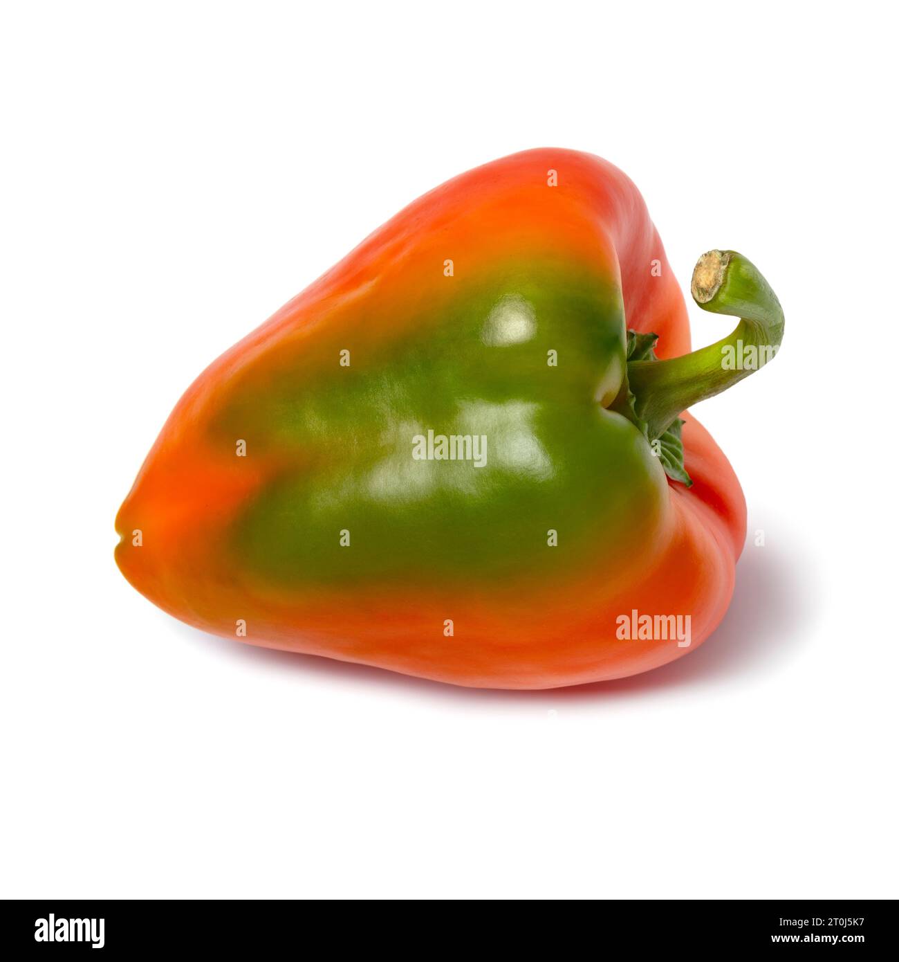 Single fresh picked ripe bell pepper isolated on white background close up Stock Photo