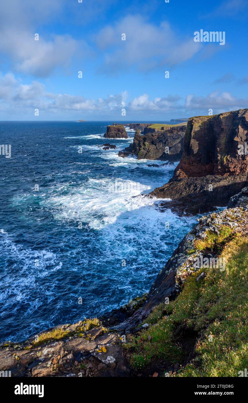 The cliffs at Eshaness, North Mainland, Shetland, Scotland, UK Stock Photo