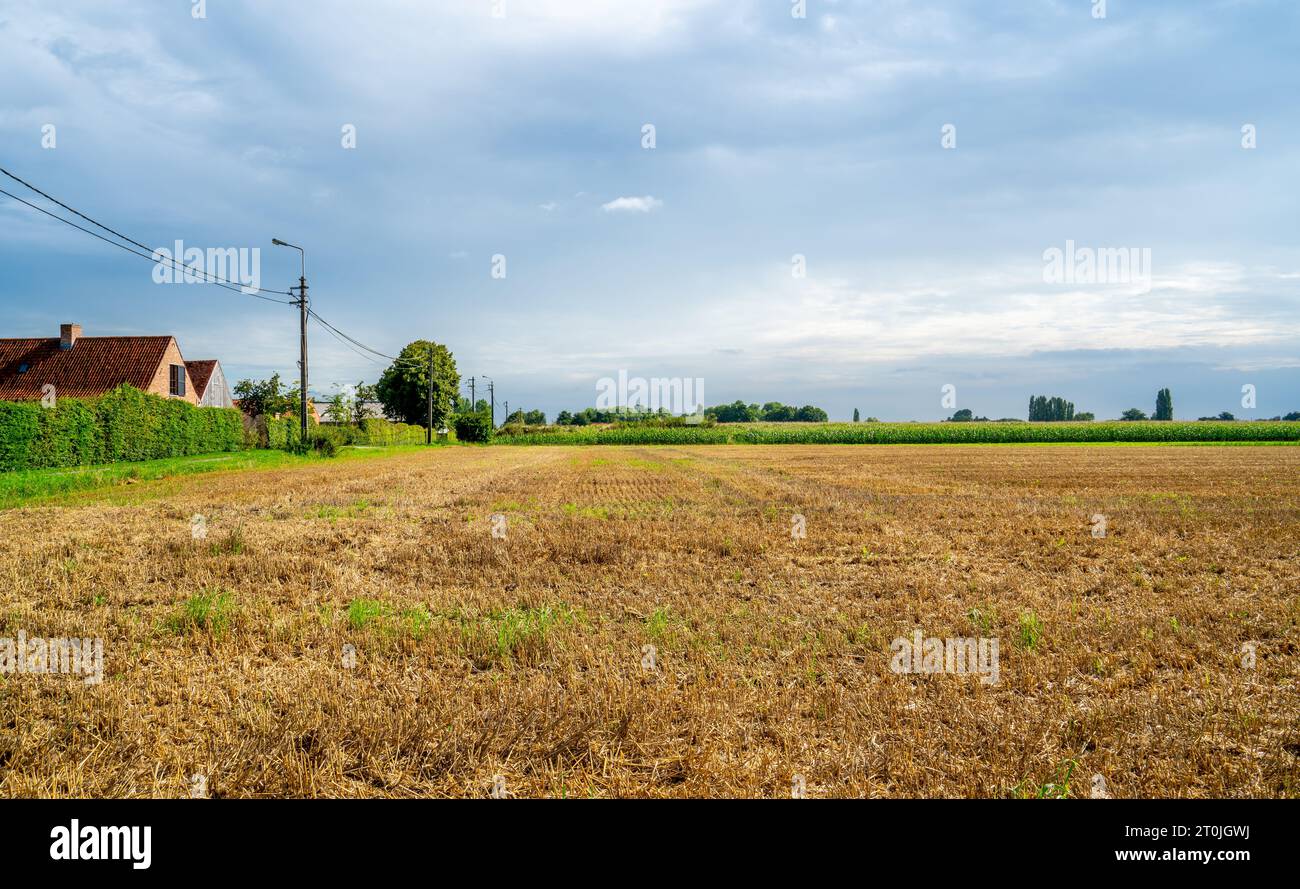 Farmland after harvest of the cereals Stock Photo - Alamy