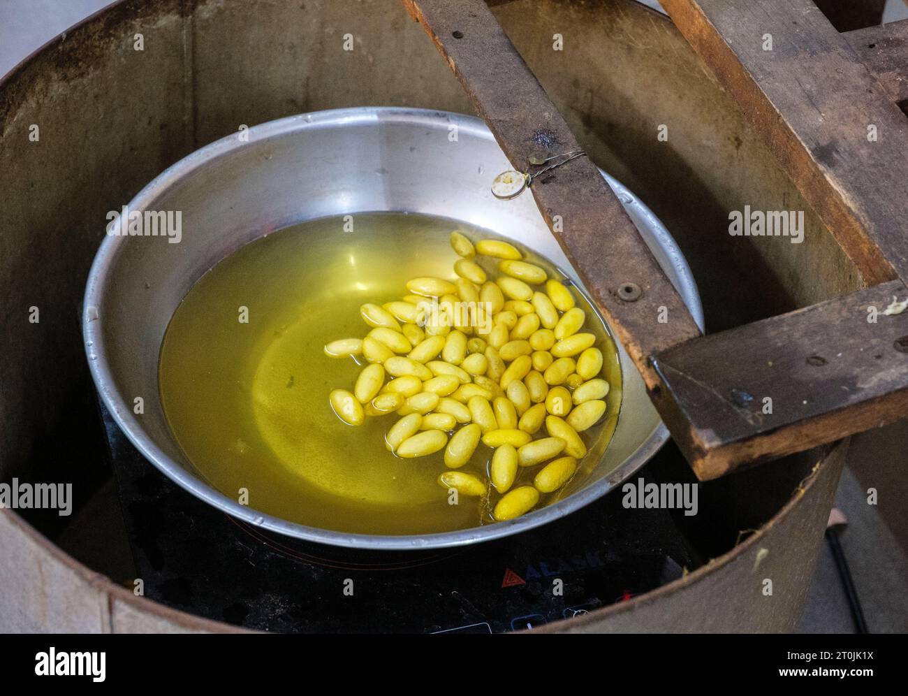 Hoi An, Vietnam. Soaking Silk Worm Cocoons in Hot Water Kills the Larva. Stock Photo