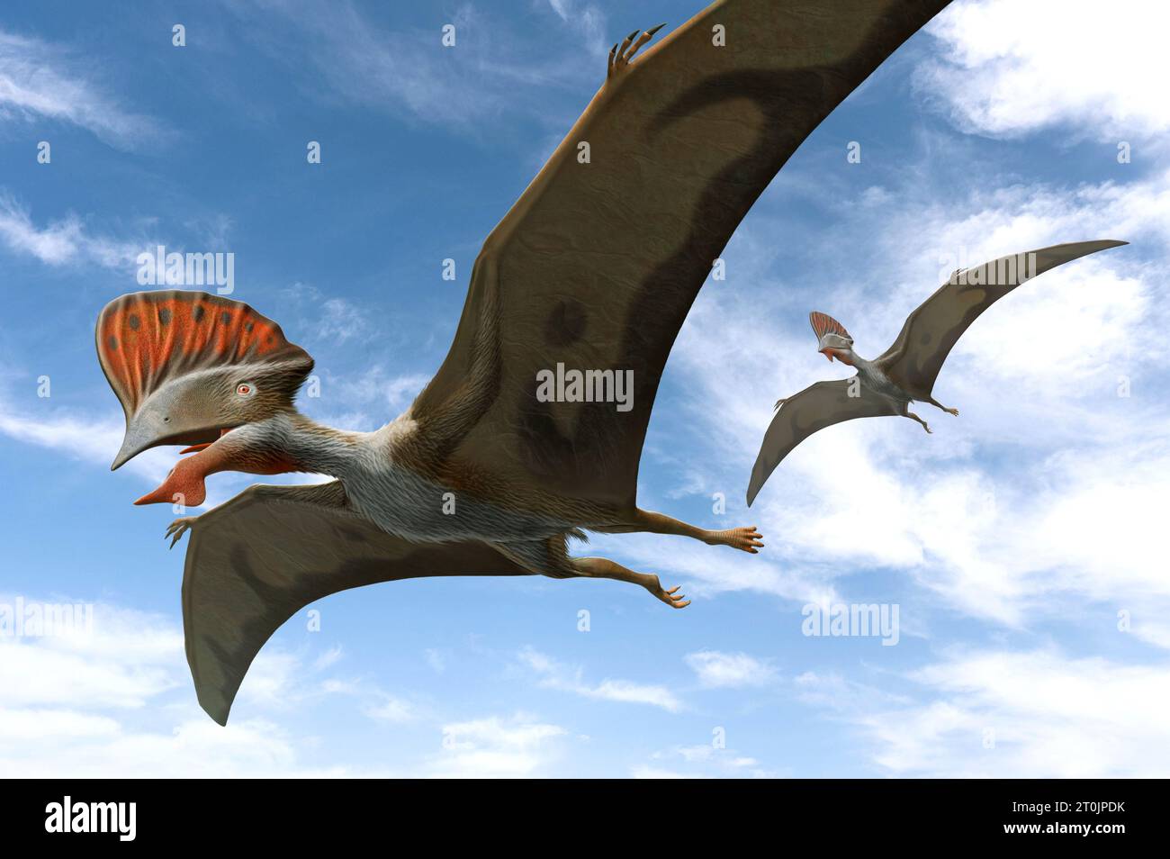 Flying Dinosaurs Names  Pterodactyl, Quetzalcoatlus, & Dimorphodon