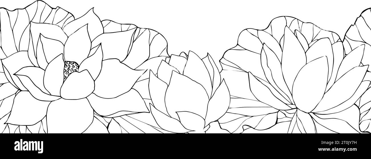 Frame with vector hand drawn lotus flowers and buds, leaves, black line ...