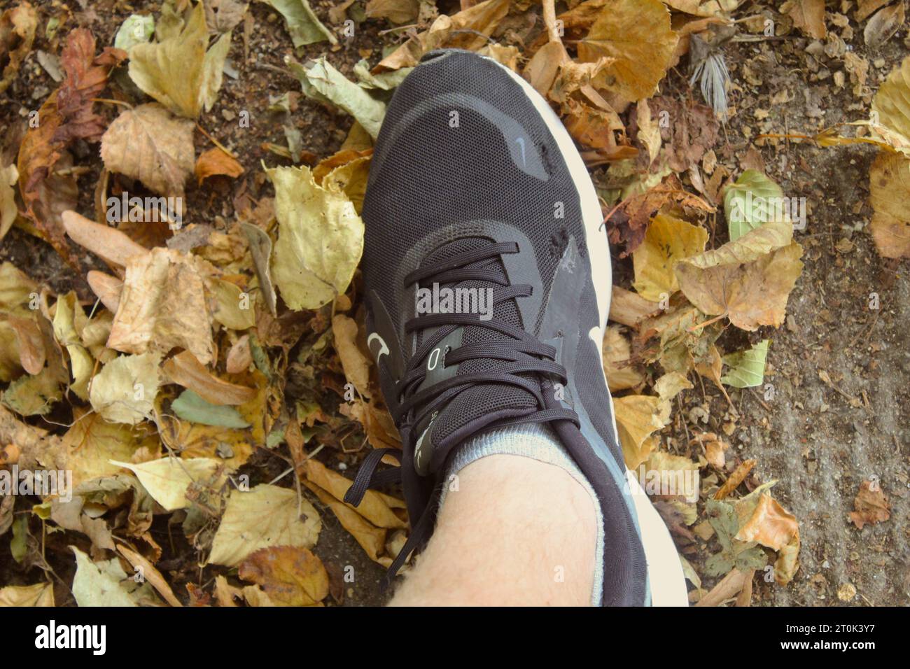 A photo of someone's shoe walking on Autumn leaves. Stock Photo