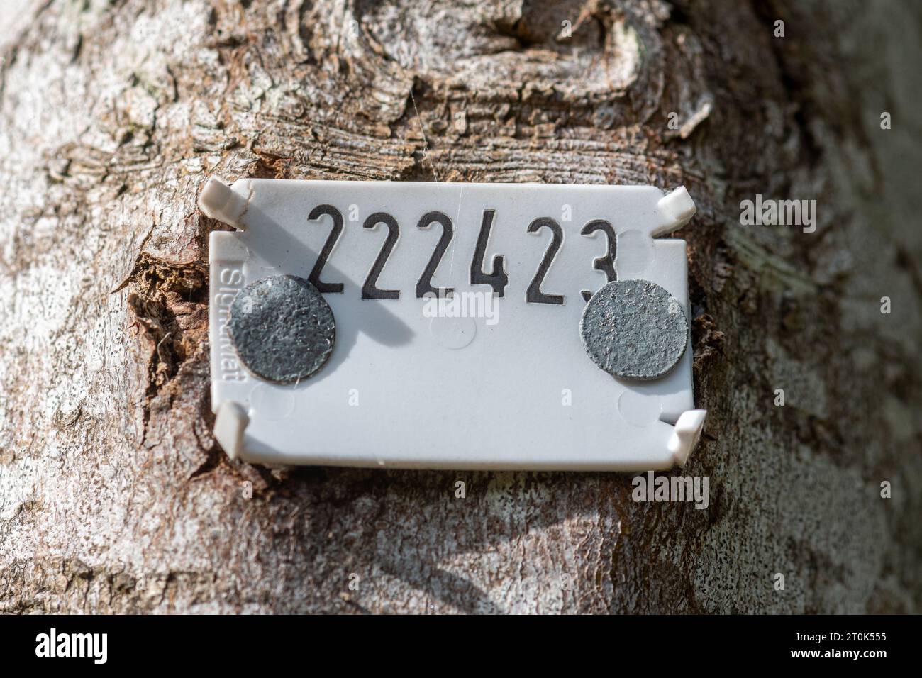 Tree tag, identification label with unique number, identifying a particular tree Stock Photo