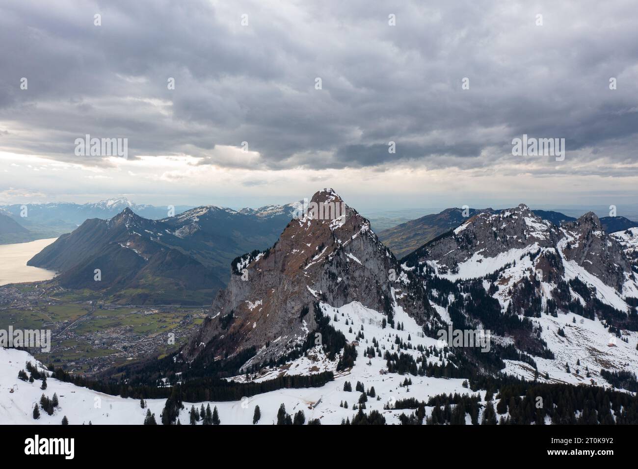 Aerial view of houses and trees on landscape in Grindelwald village ...