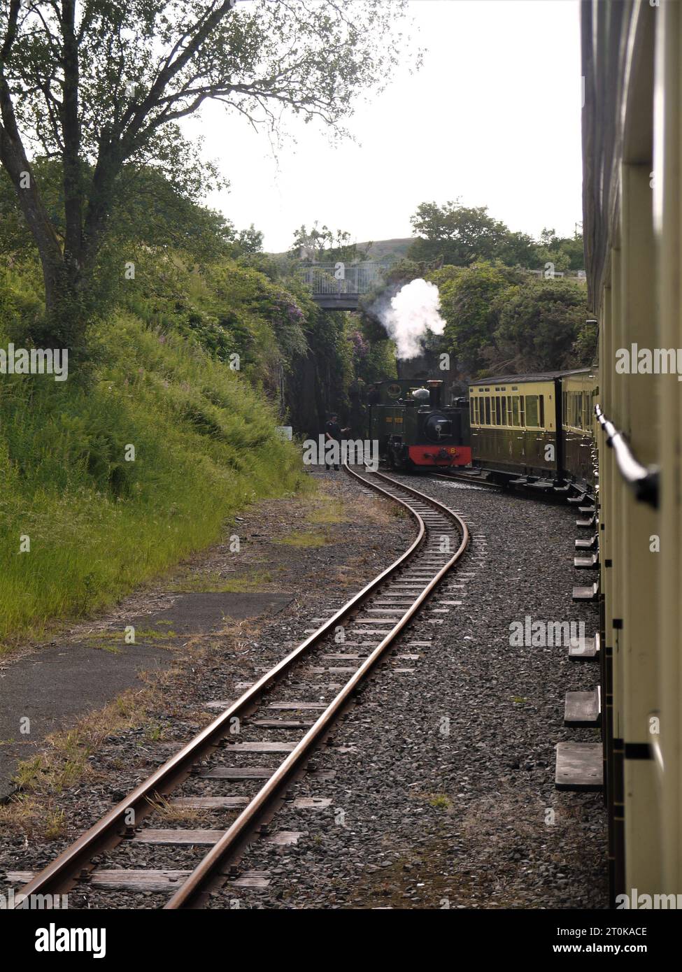 Vale of Rheidol Railway, Ceredigion, Wales - June 21 2023: Engine No. 8 (Llywelyn) entering Devil's Bridge station (Pontarfynach) Stock Photo