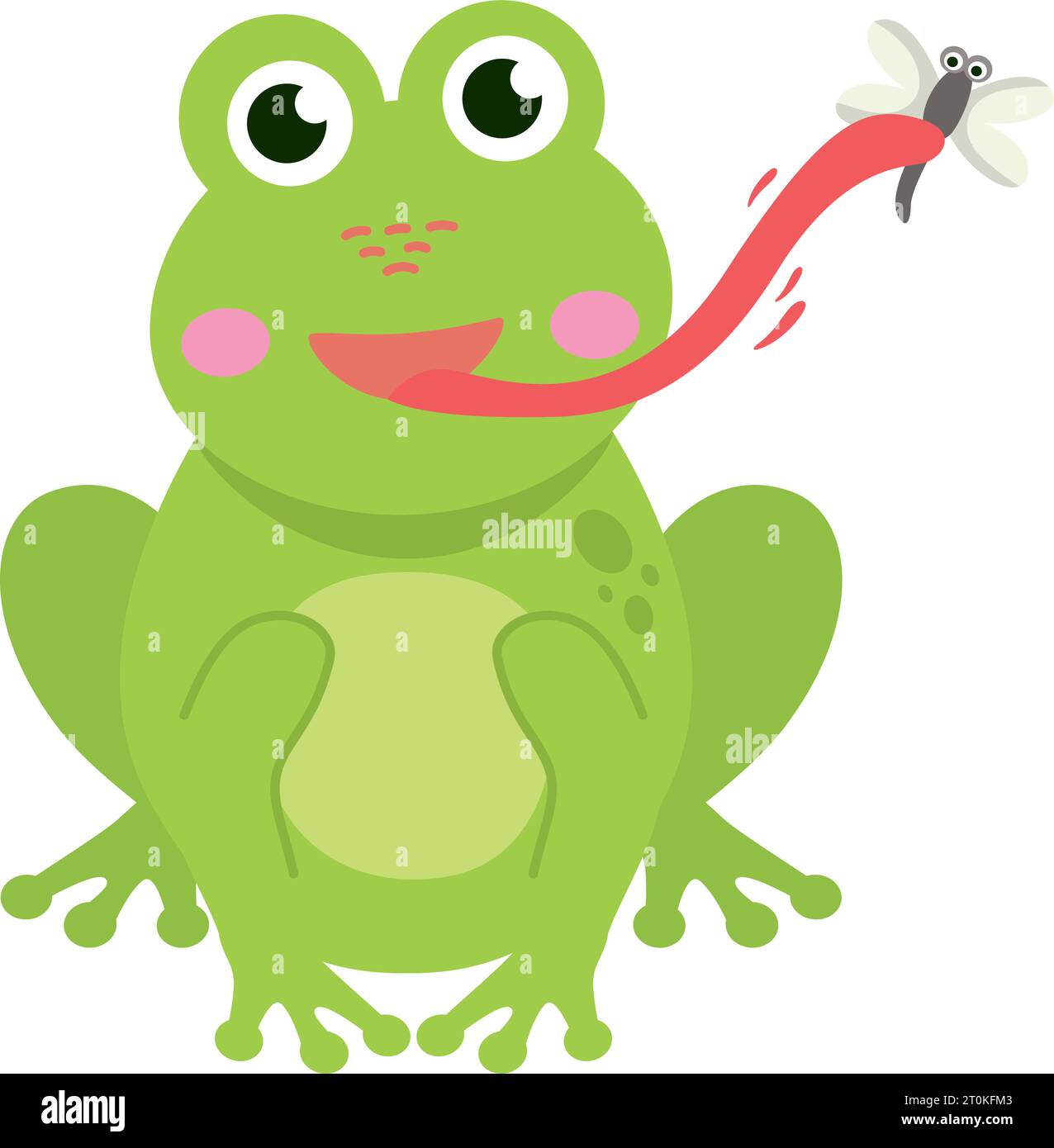 frog eating fly illustration vector isolated Stock Vector Image & Art