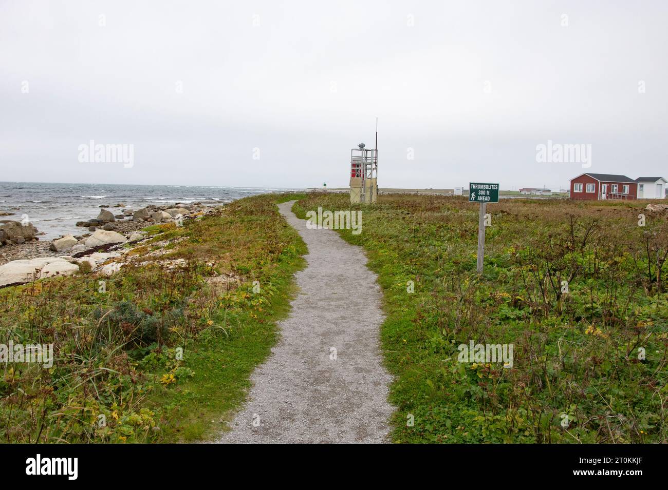 Path to the thrombolites in Flower's Cove, Newfoundland & Labrador, Canada Stock Photo