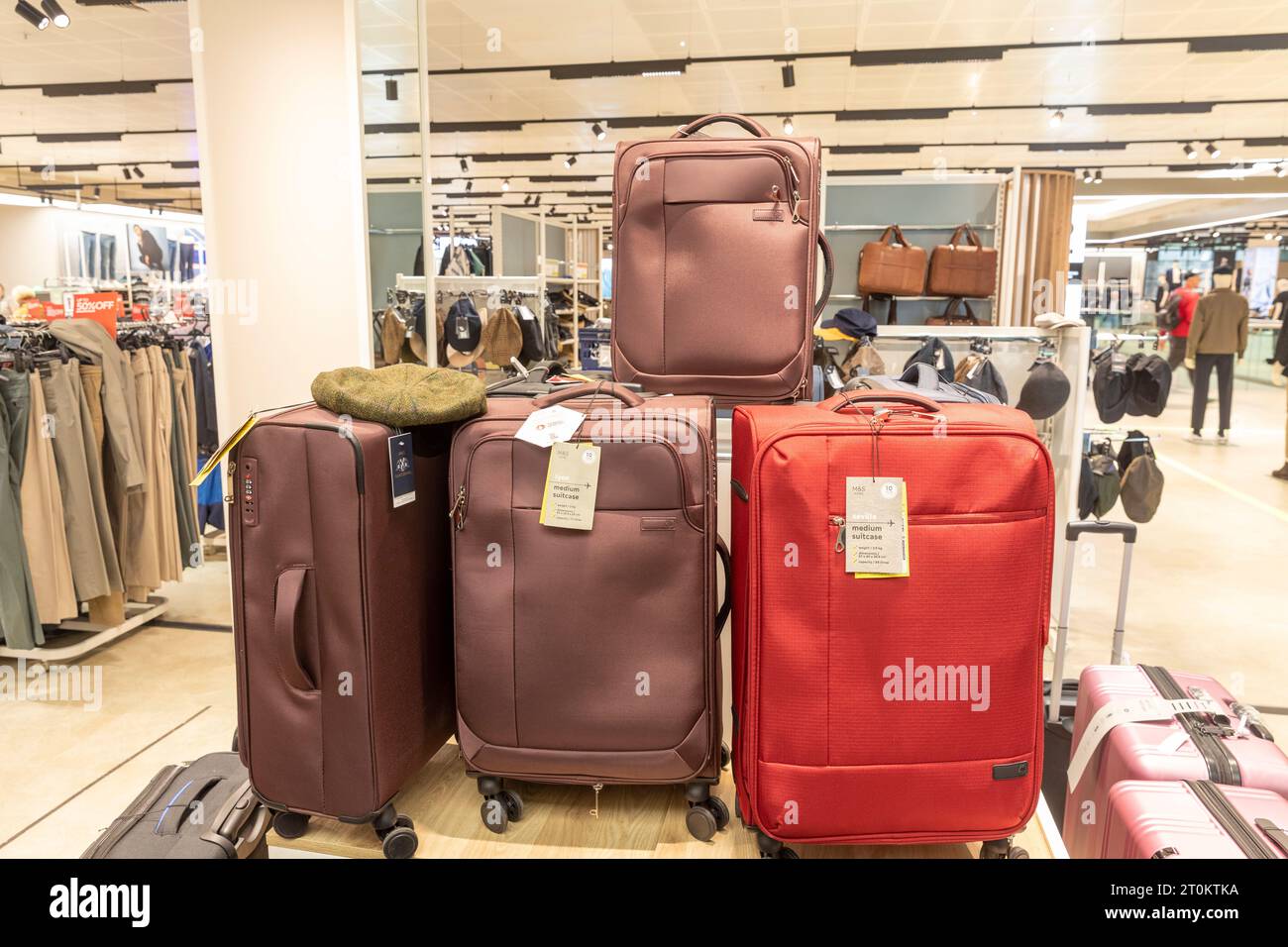 Goyard suitcase, Goyard travel bag, Goyard dust bag - Les Puces de Paris  Saint-Ouen