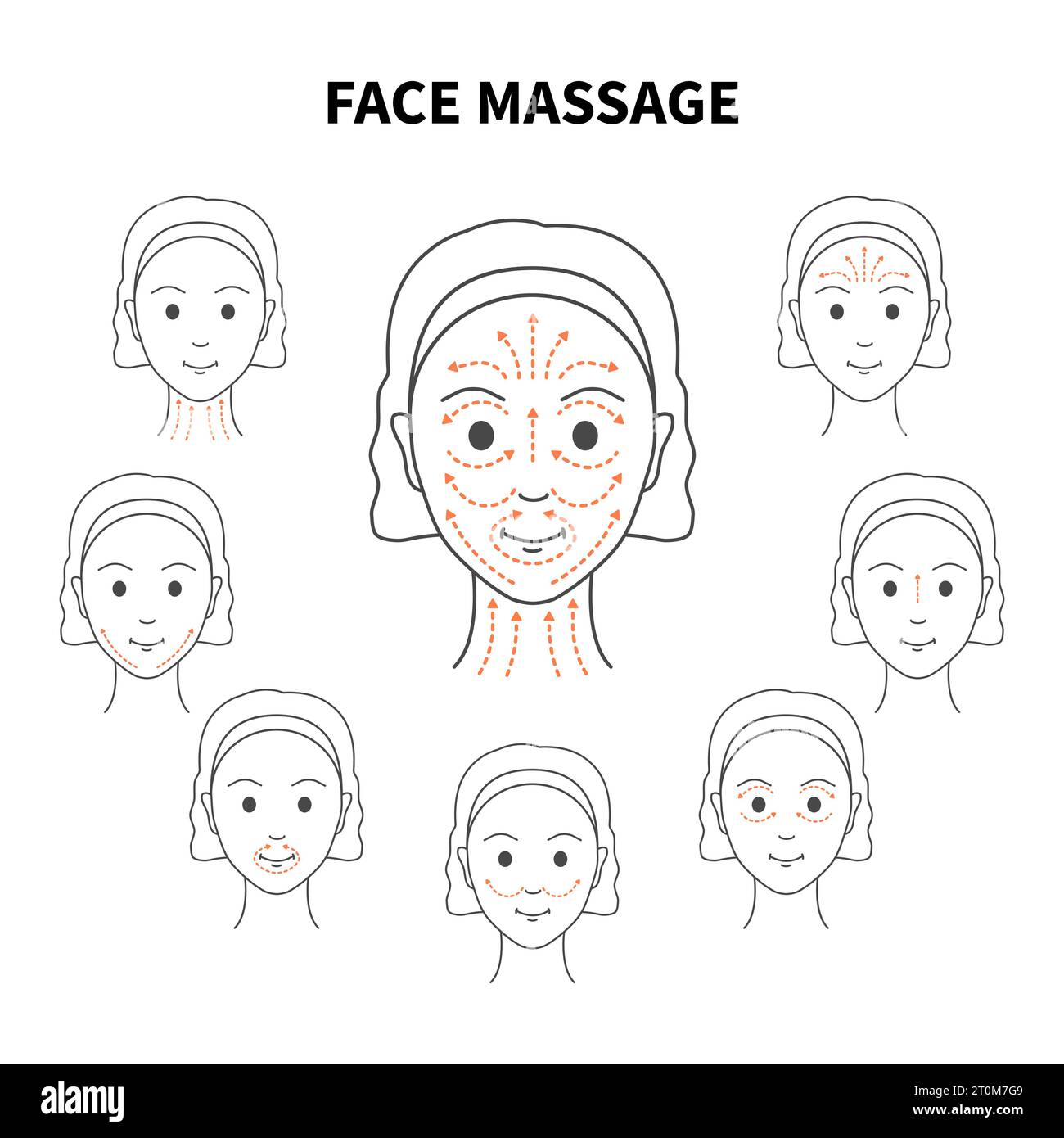 DIY face lifting sculpting massage lines illustration Stock Vector
