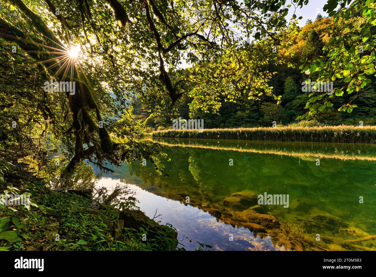 The Doubs near the Le Theusseret area near Saignelégier and Gumois Stock Photo