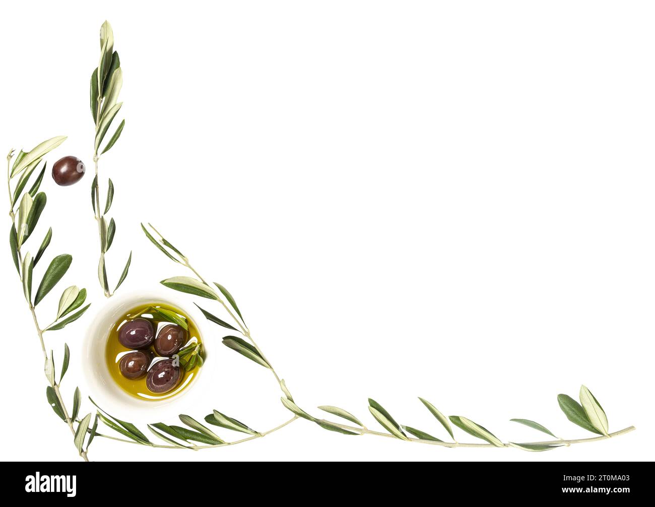 Olive oil and olives on a trasnparent background with some Olive branches Stock Photo