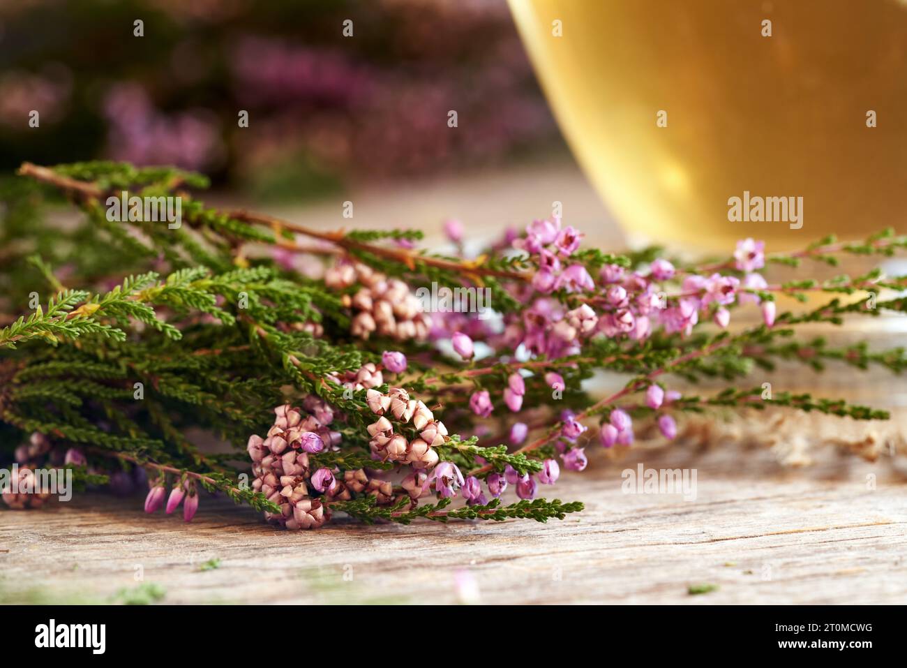 Fresh wild heather flowers on a table, with a cup of herbal tea in the background Stock Photo