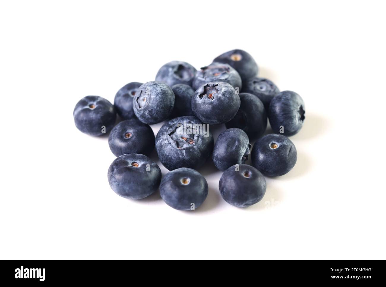 Blueberries isolated on white background Stock Photo