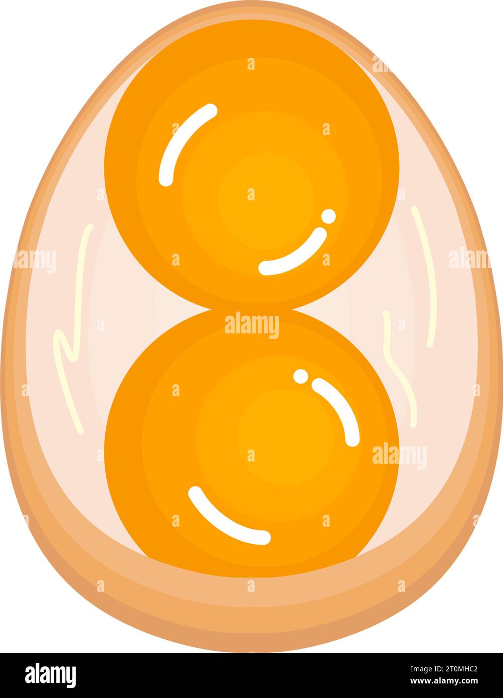 graphic illustrated Double yolk chicken egg twin fresh food flat style