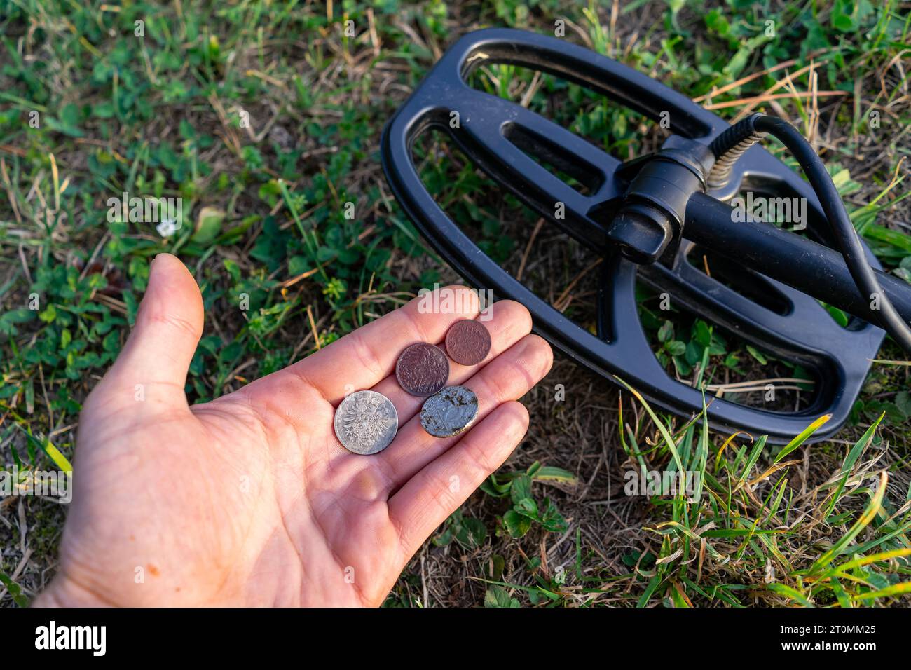 Collecting coins with a metal detector Stock Photo Alamy