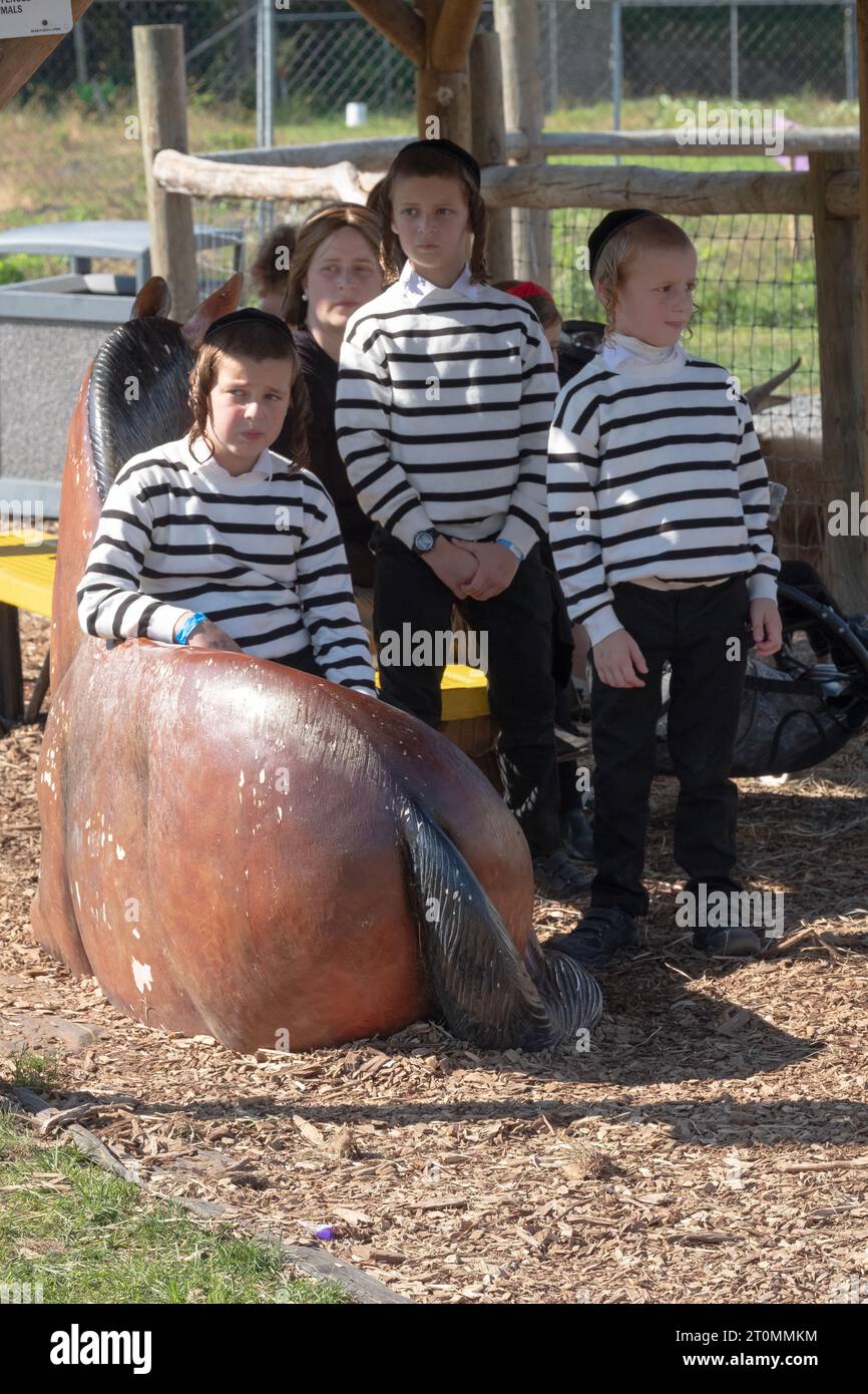 An older orthodox Jewish man recites morning prayers during the Sukkos