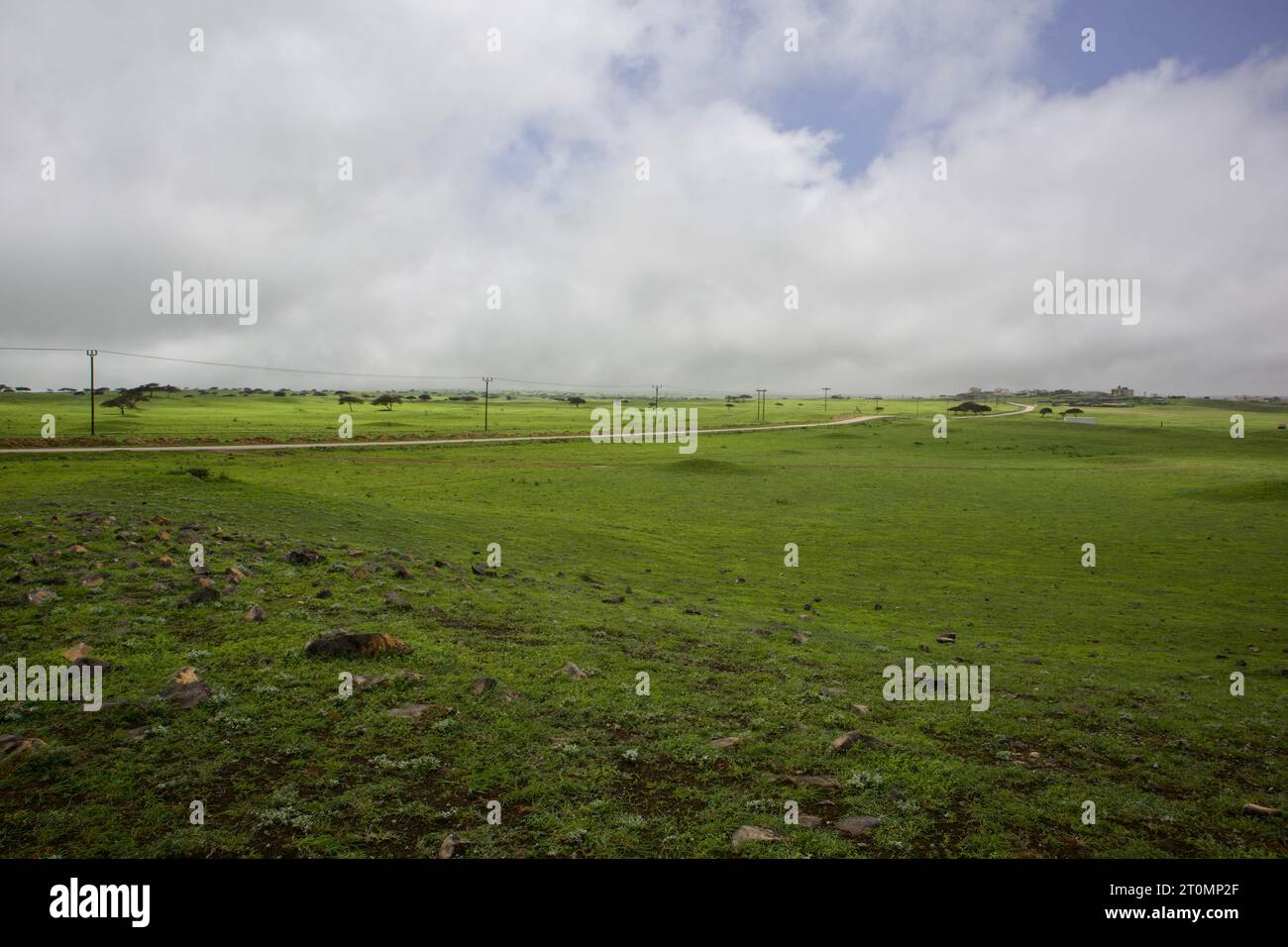 View grassland in plain hi-res stock photography and images - Alamy