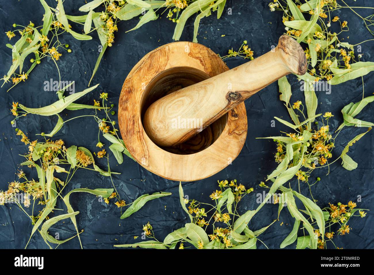 Healing inflorescences of linden or tilia, herbal medicine, medicinal plants. Stock Photo