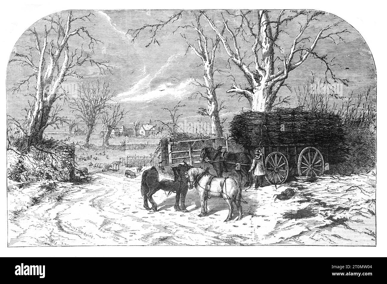 Carting Faggots for Christmas. A scene at Chessington near Epson, by J. Jessop Hardwick. Black and White Illustration from the London Illustrated News; 24th December 1859. Stock Photo
