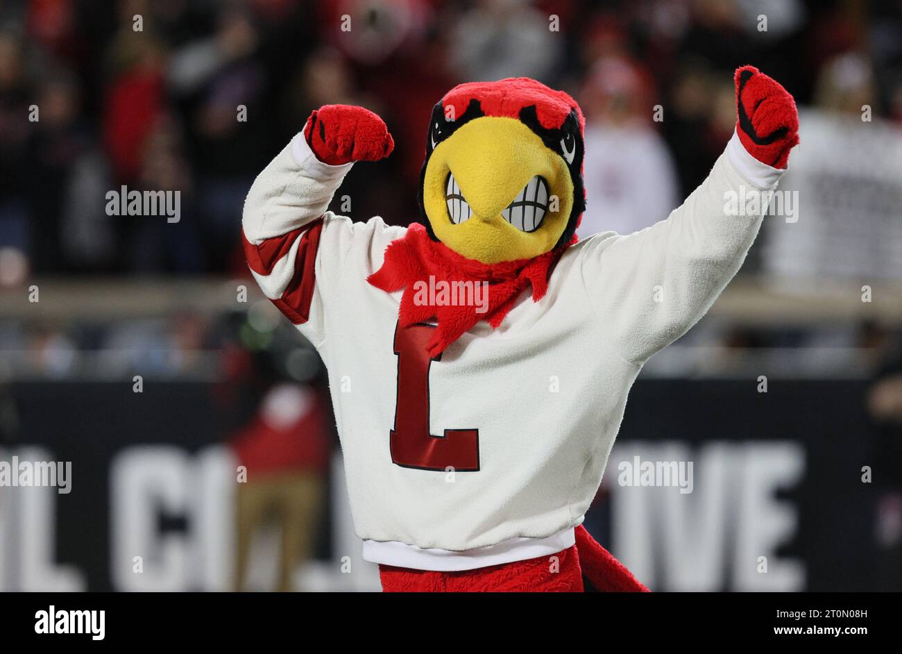 Louisville Cardinals University of Louisville Pins Mascot Louie