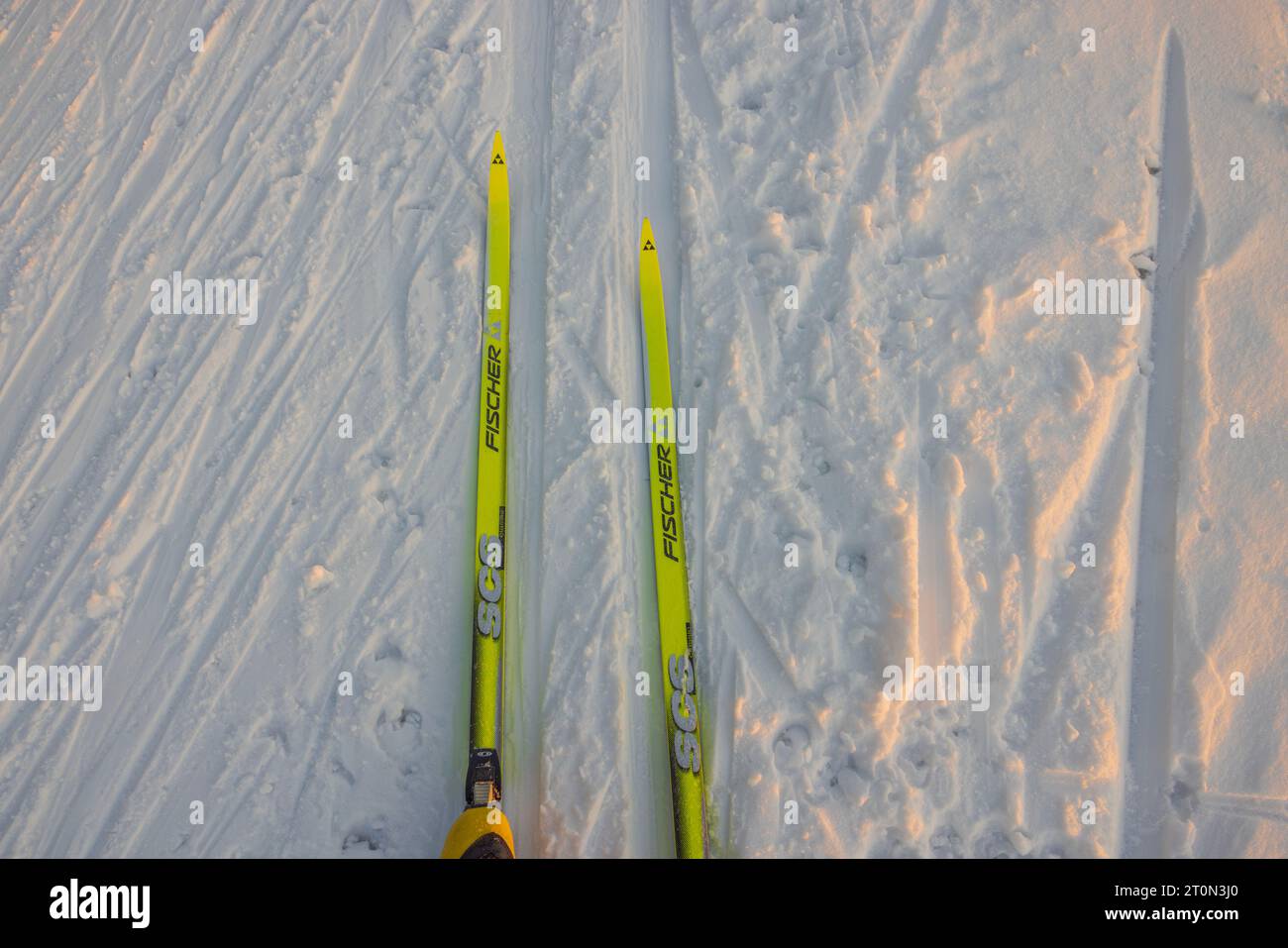 Close up view down yellow plastic Fischer skis rolling down ski track. Sweden. Storvreta. Stock Photo