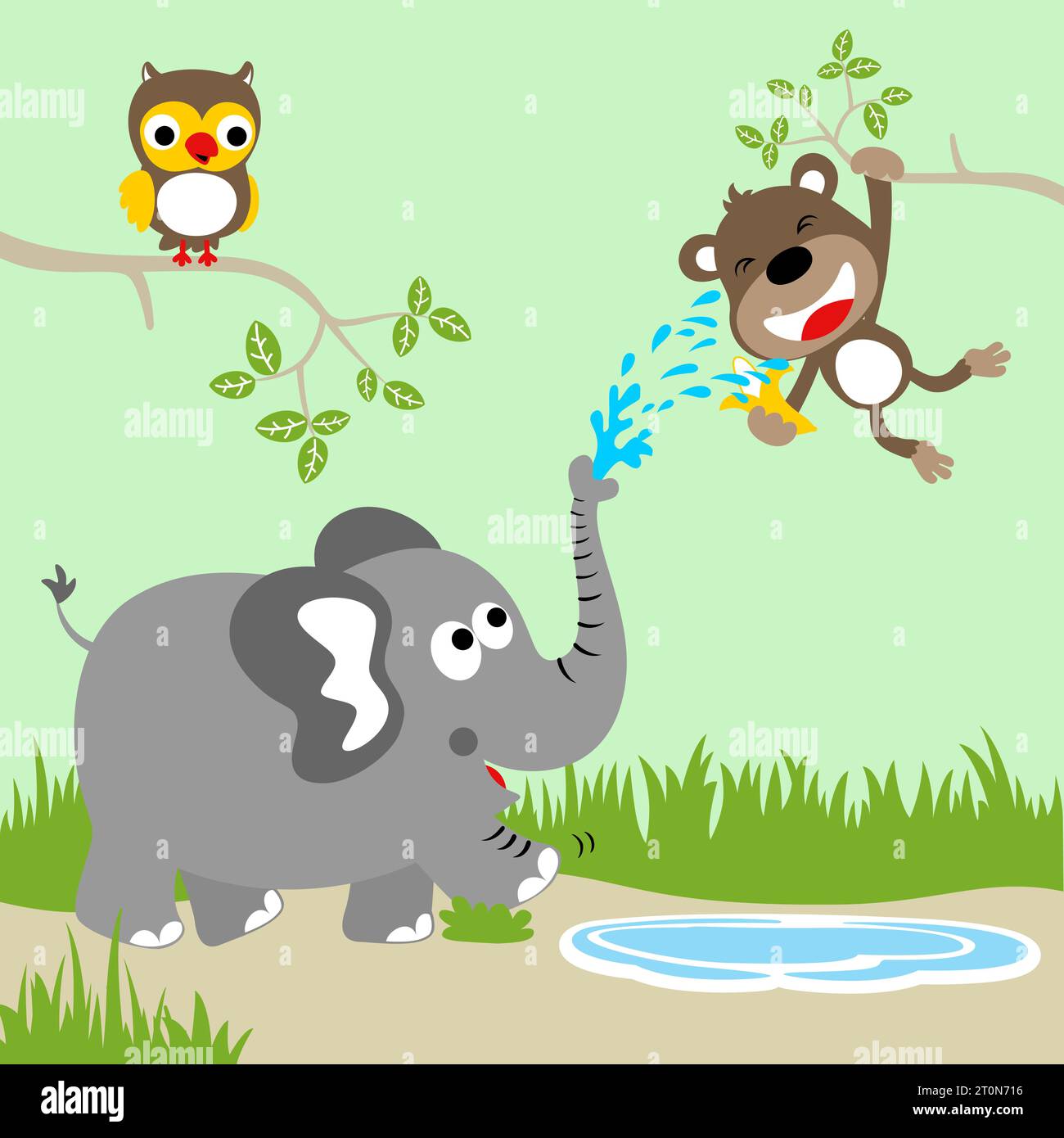 Funny elephant spraying water to monkey, cute owl perching on tree