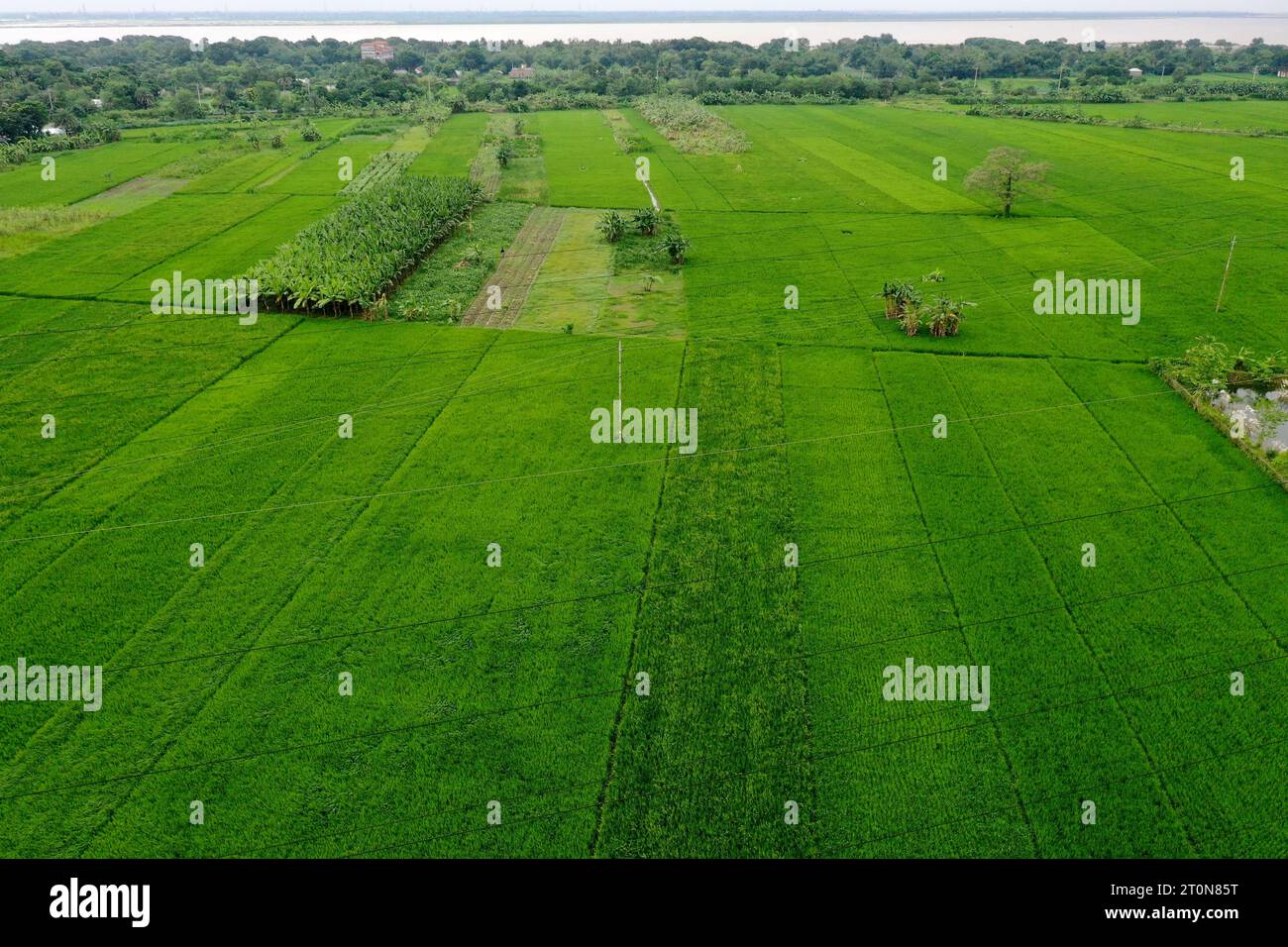 Kushtia, Bangladesh October 04, 2023 The bird'seye view of the