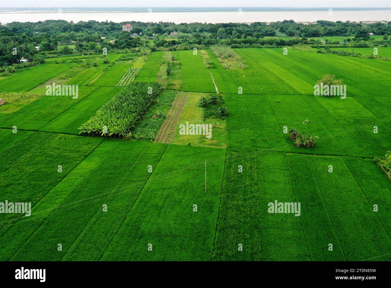 Kushtia, Bangladesh October 04, 2023 The bird'seye view of the