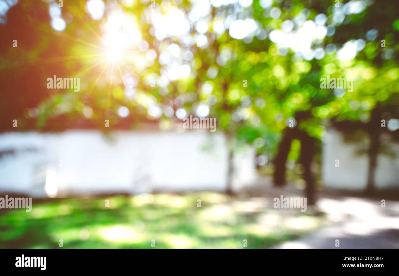 Summer abstract bokeh background Stock Photo