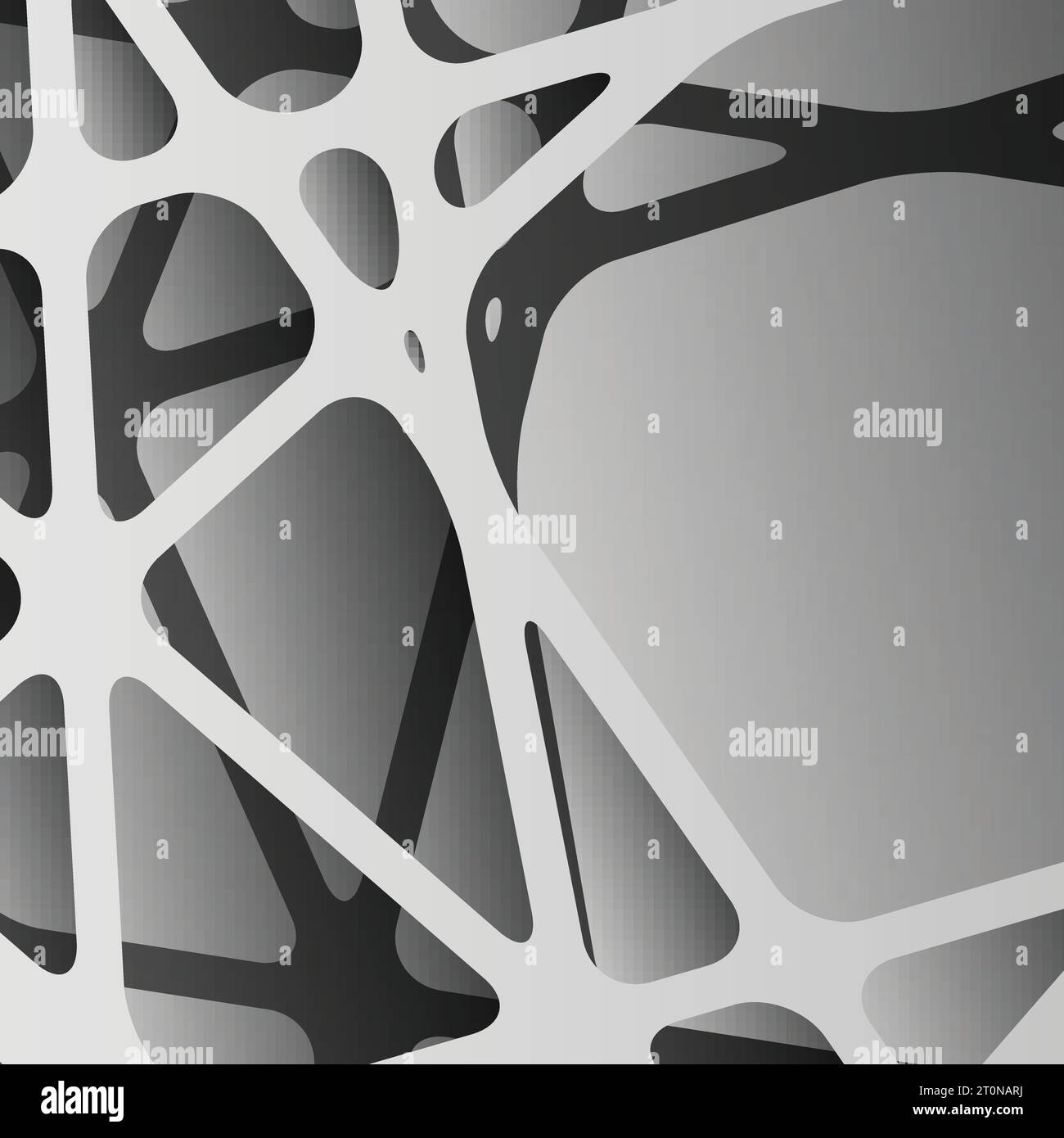 Digital networks structure Black and White Stock Photos & Images - Alamy