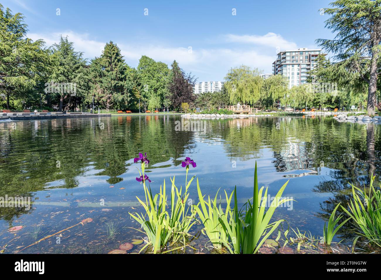 The large Pond in Minora Park in Richmond, Vancouver, Canada Stock Photo