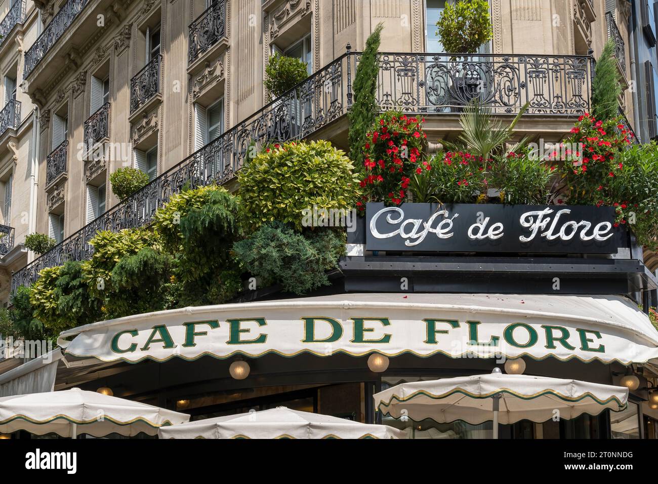 Cafe de Flore is a historic Parisian cafe and restaurant in the Saint-Germain-des-Pres district. Paris, Ile de France, France, Europe, European Union Stock Photo