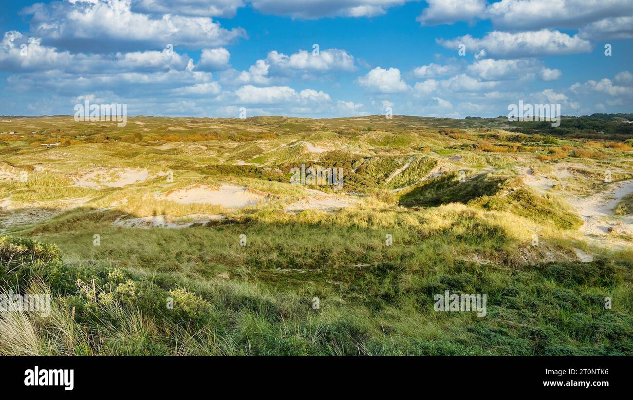 Dunes of Egmond aan Zee (Schoorlse Duinen) on the Dutch North Sea. Egmond aan Zee, the Netherlands, Europe. Stock Photo