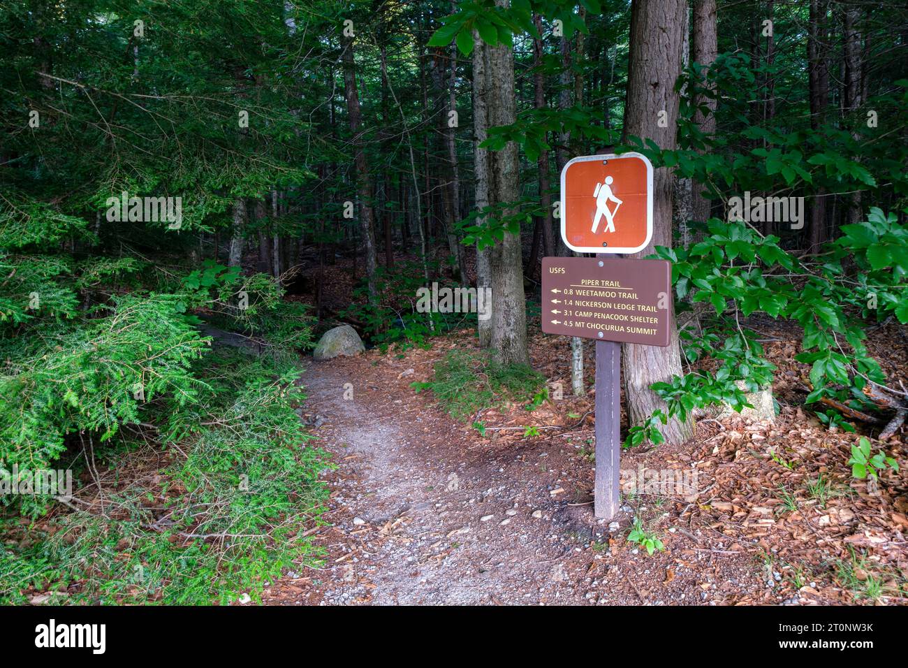 Mount Chocorua’s Piper Trail Trailhead Stock Photo - Alamy
