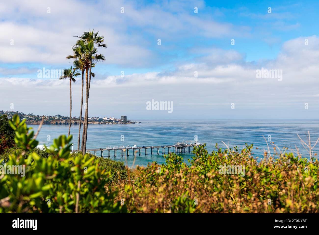 The Pacific Ocean and Scripps Pier (Ellen Browning Scripps Memorial Pier) with the village of La Jolla (San Diego), California, USA, in the distance Stock Photo