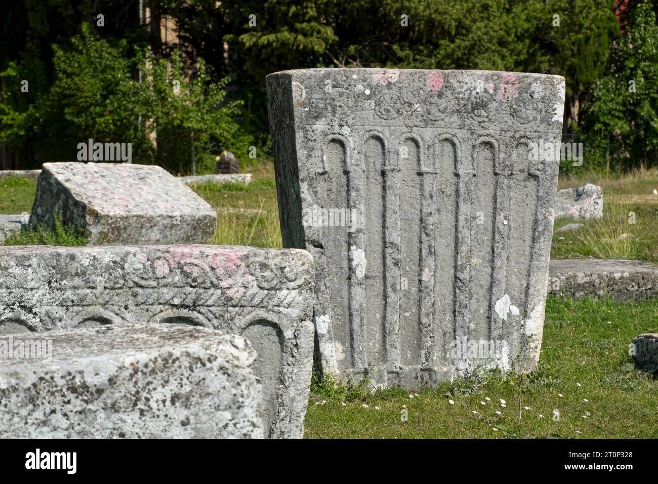 medieval tombstones around Bileca Lake in Bosnia and Herzegovina Stock ...