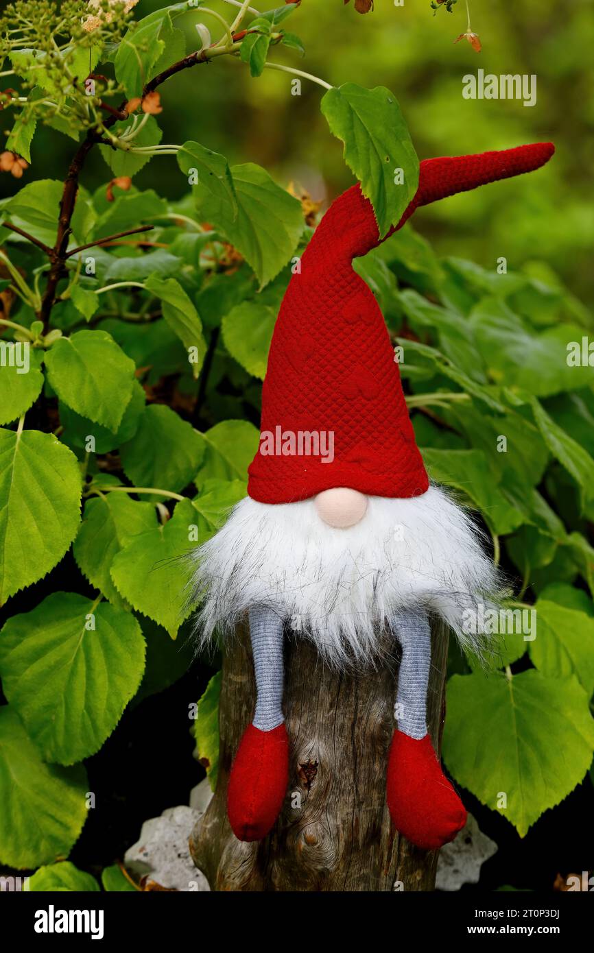 A small gnome sitting on a stone among green leaves in a garden Stock Photo