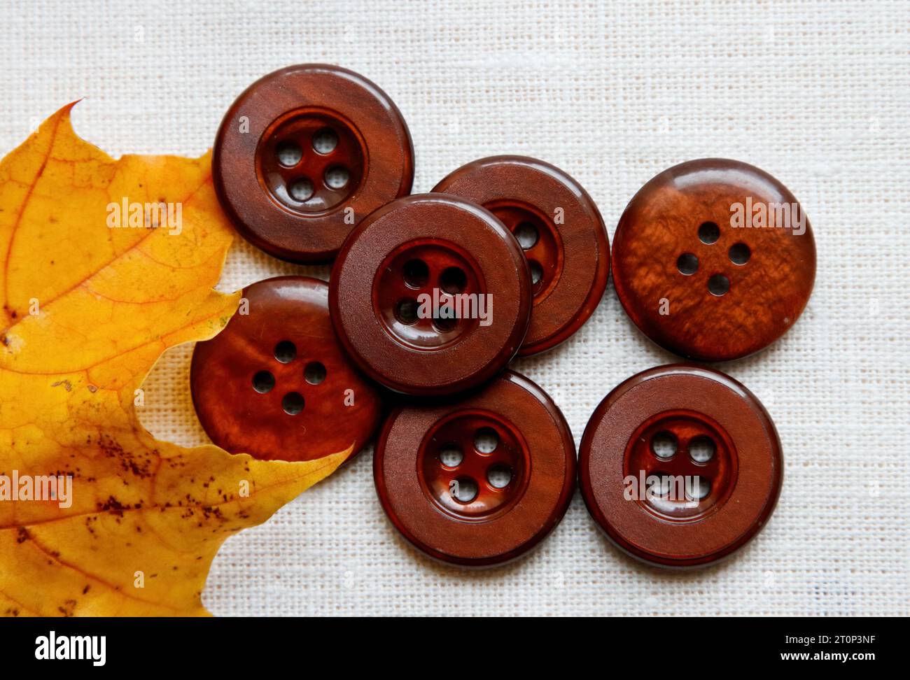 Brown Buttons