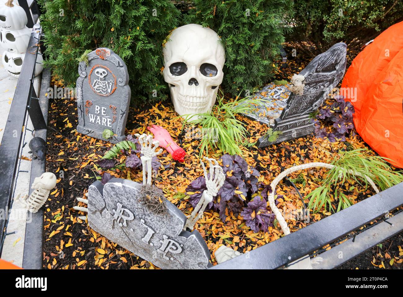 Halloween Decorated front yard, Chicago Stock Photo Alamy